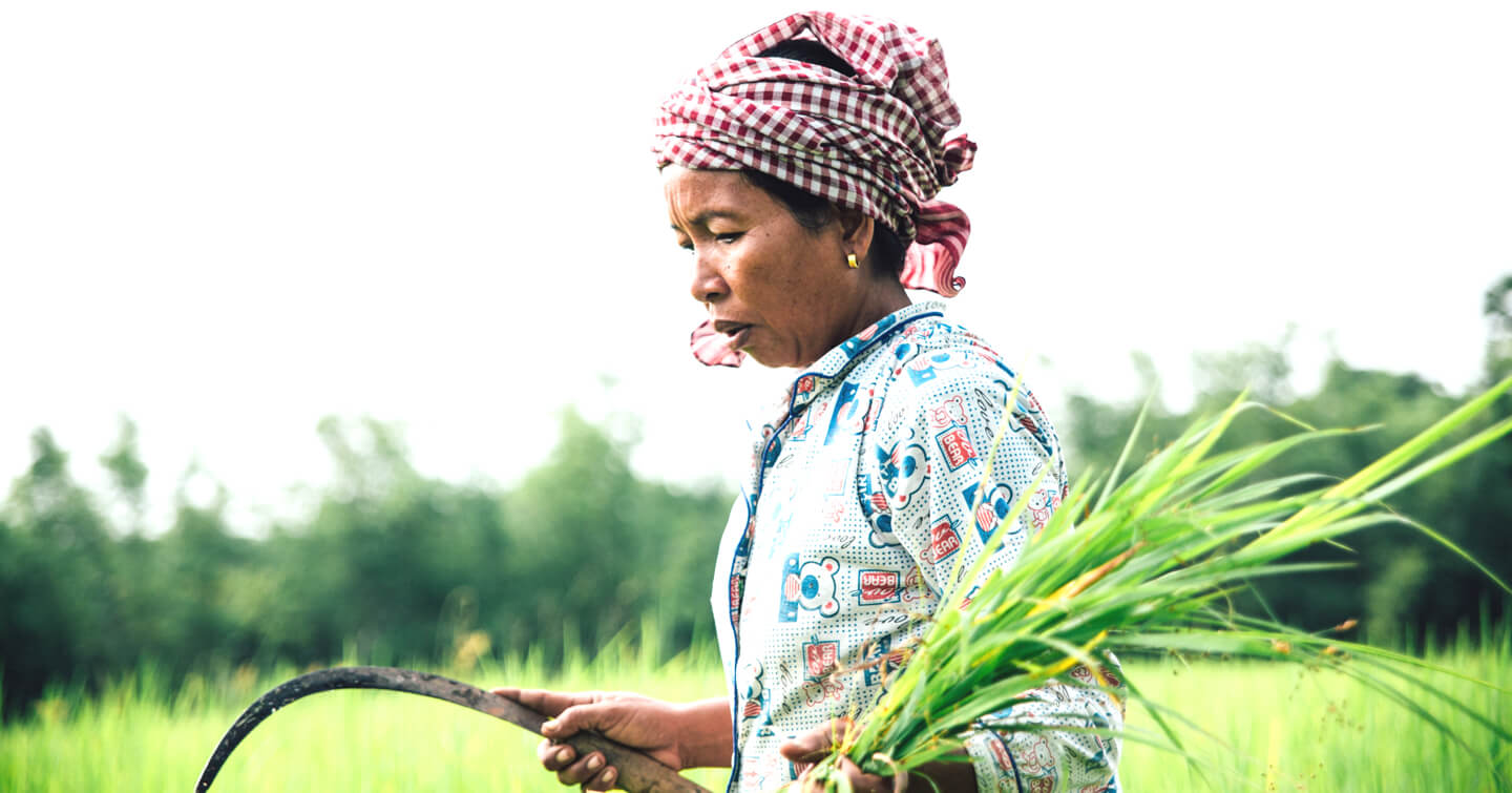 woman farming